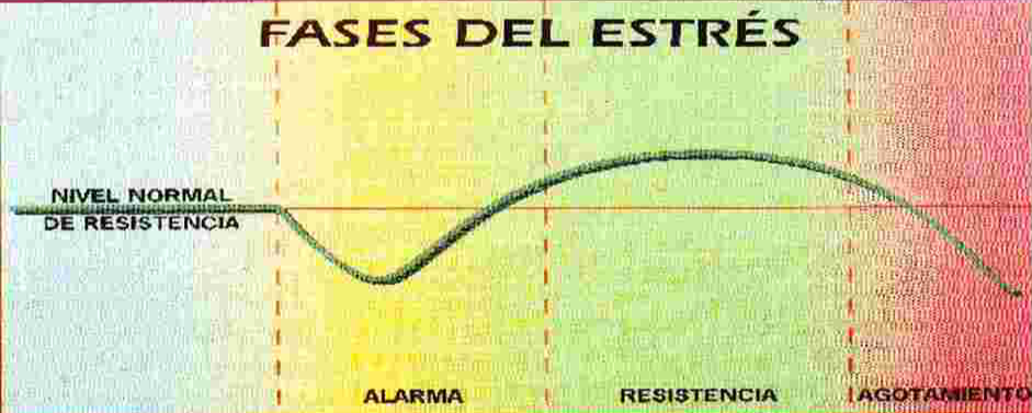 Fases de estres