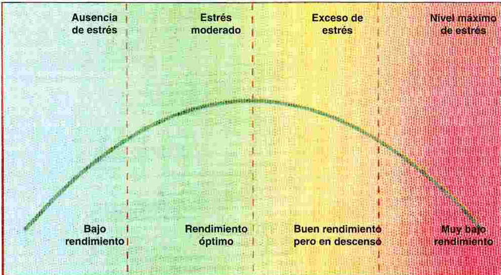 rendimiento